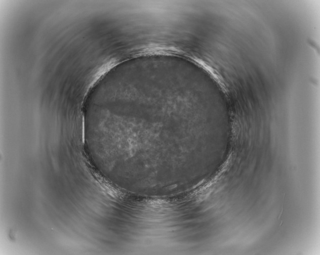 X0000095531219200712281515