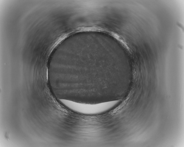 X0000095531221200712281515