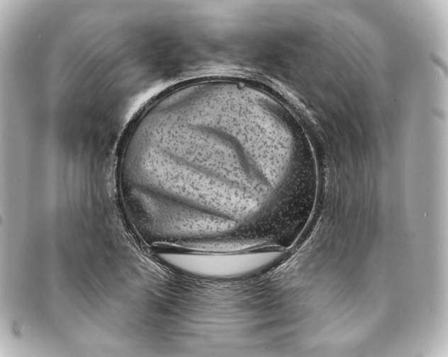 X0000095531222200712281515