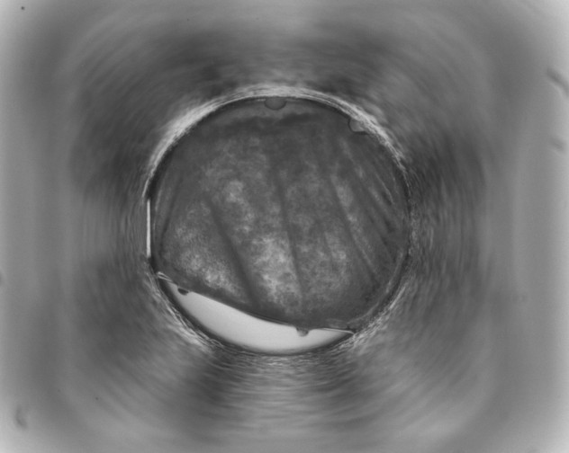 X0000095531223200712281515