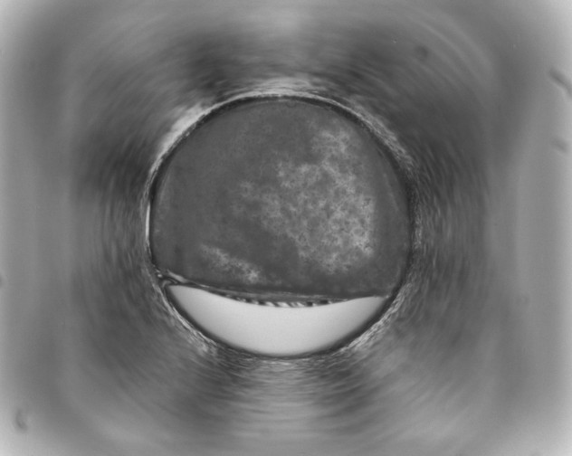 X0000095531224200712281515