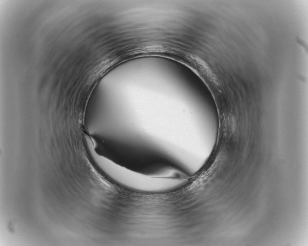 X0000095531225200712281515
