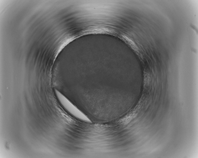 X0000095531226200712281515