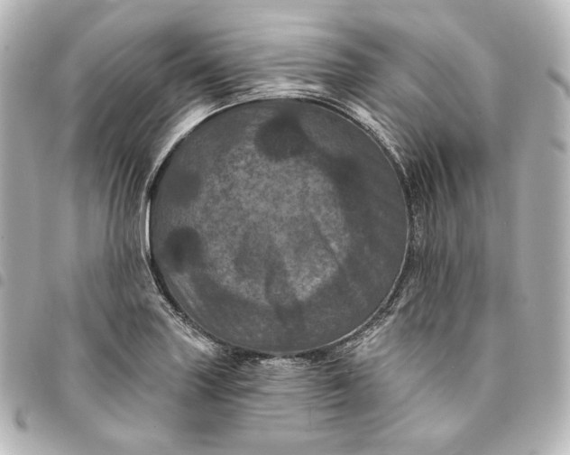X0000095531227200712281515