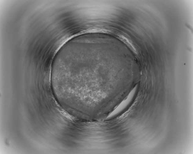 X0000095531228200712281515