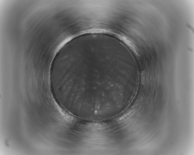X0000095531229200712281515