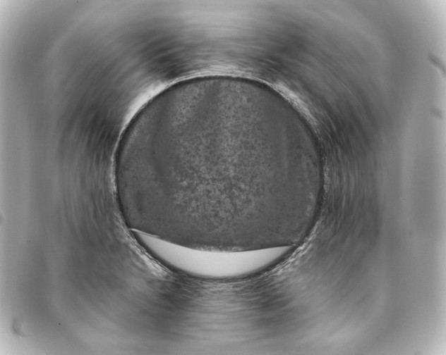 X0000095531230200712281515