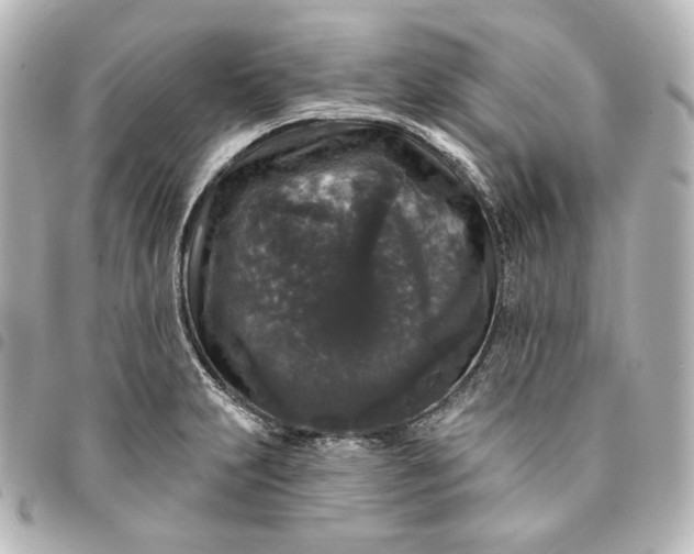 X0000095531231200712281515