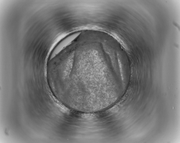 X0000095531232200712281515