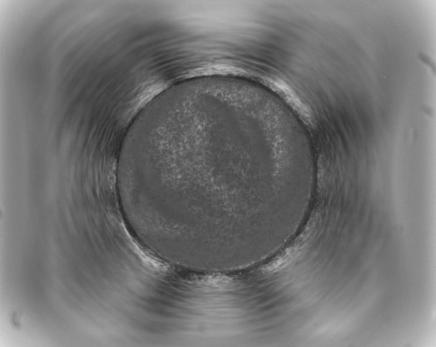 X0000095531233200712281515