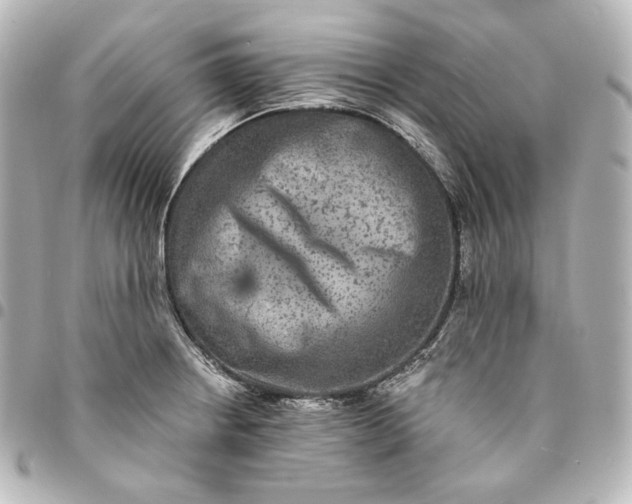 X0000095531234200712281515