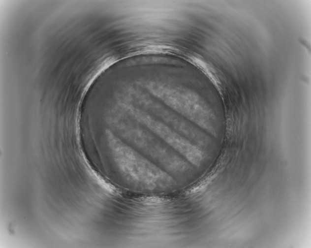 X0000095531235200712281515