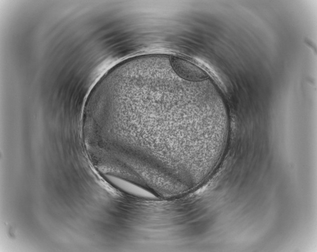 X0000095531236200712281515