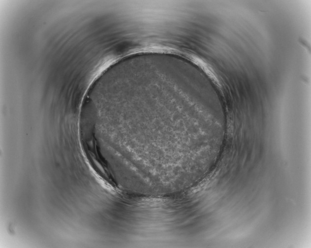 X0000095531237200712281515