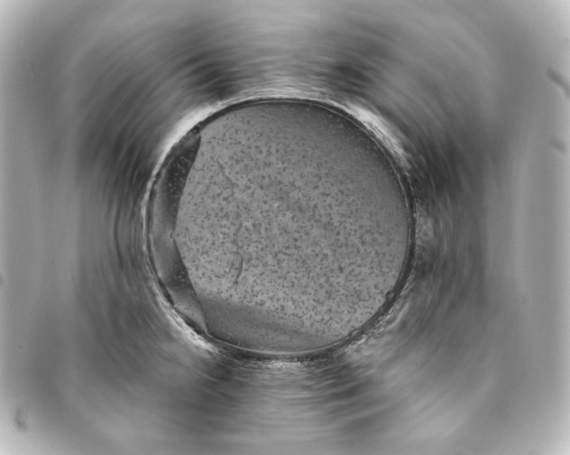 X0000095531238200712281515