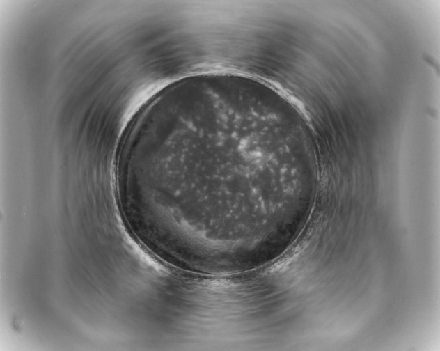 X0000095531239200712281515