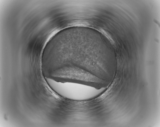 X0000095531240200712281515