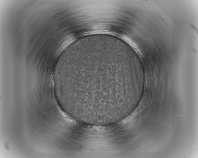 X0000095531241200712281515