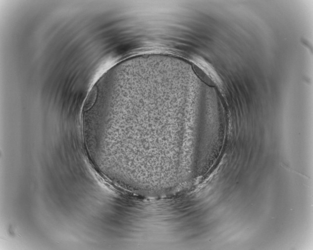 X0000095531242200712281515