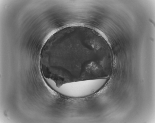 X0000095531245200712281515