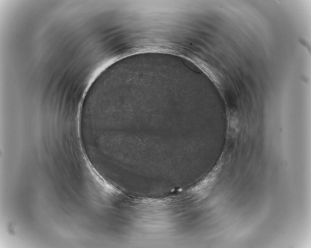 X0000095531246200712281515