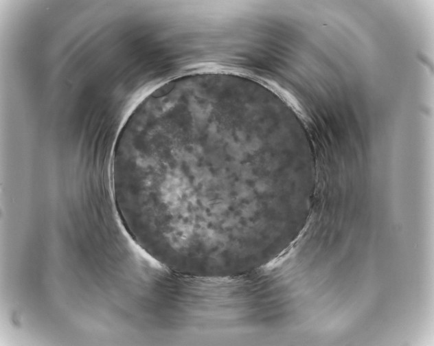 X0000095531247200712281515