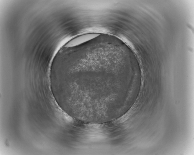 X0000095531248200712281515