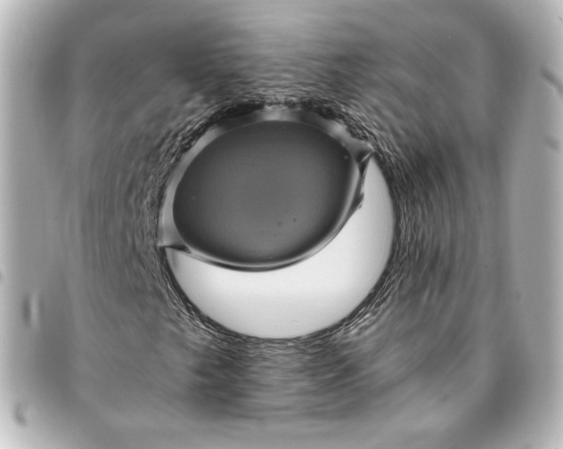 X0000095531249200712281515
