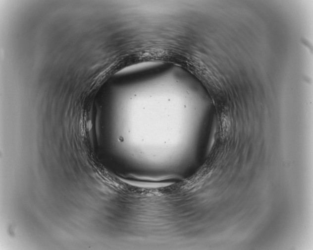 X0000095531250200712281515