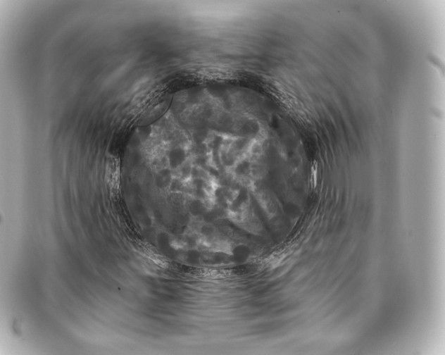 X0000095531251200712281515
