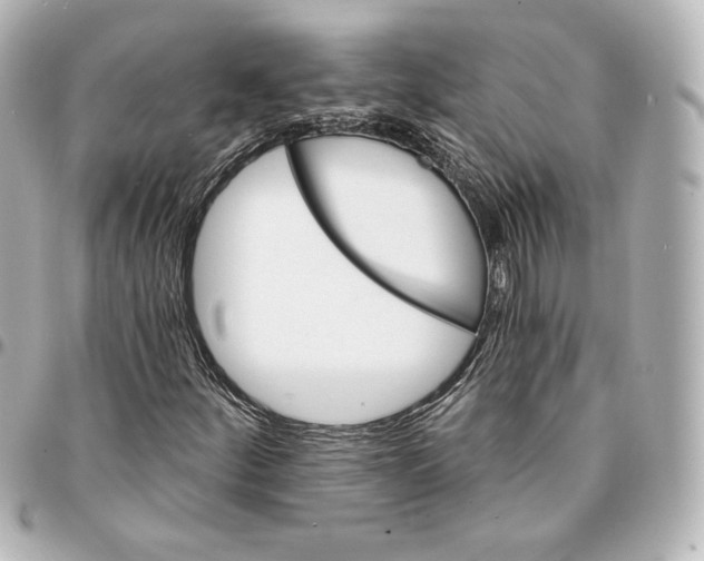 X0000095531252200712281515