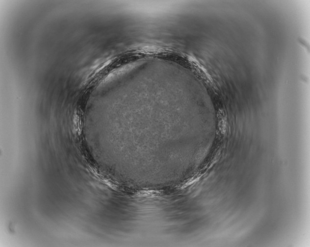 X0000095531253200712281514