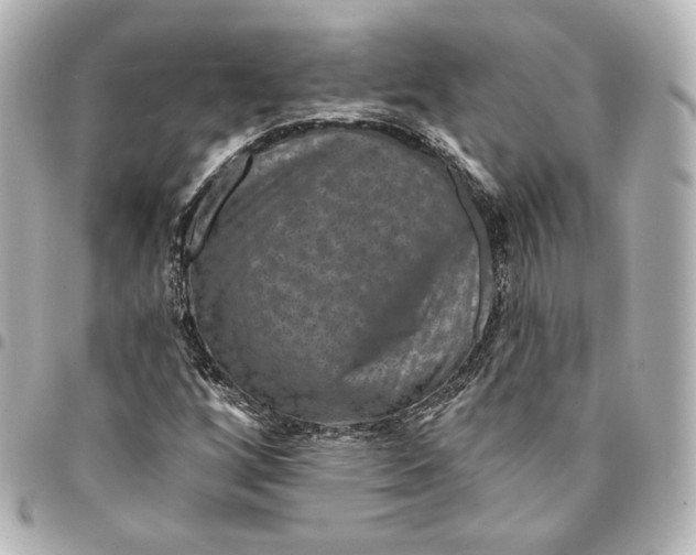 X0000095531256200712281514