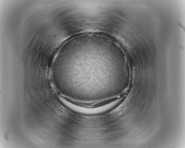 X0000095531257200712281514