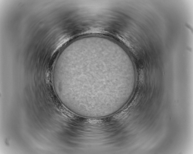 X0000095531258200712281514