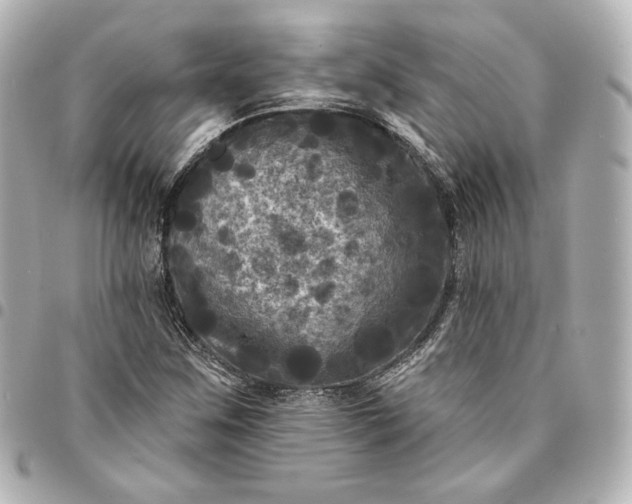 X0000095531259200712281514
