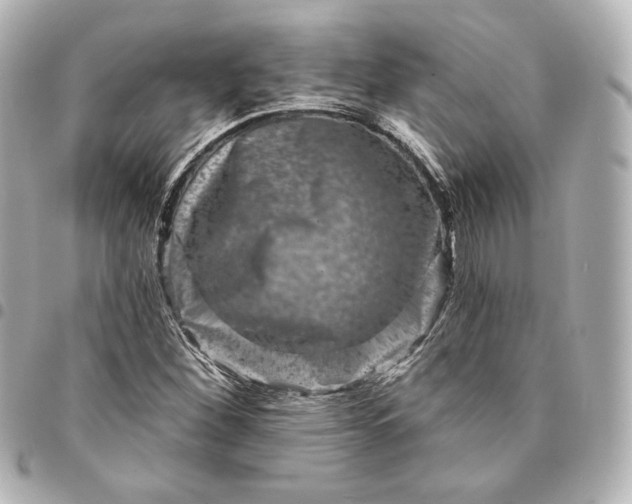 X0000095531260200712281514