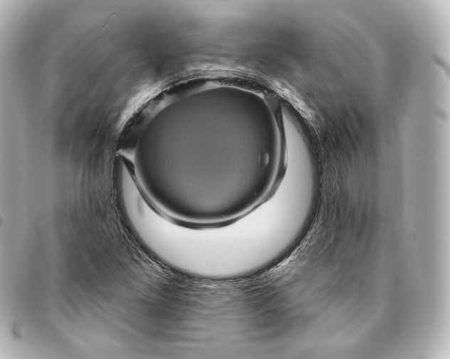 X0000095531261200712281514