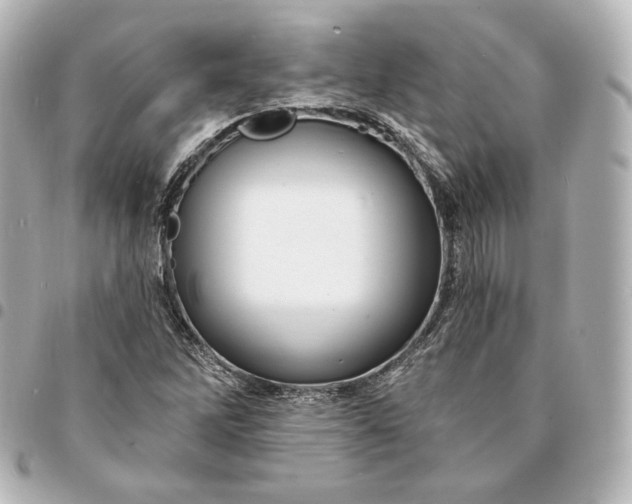 X0000095531262200712281514