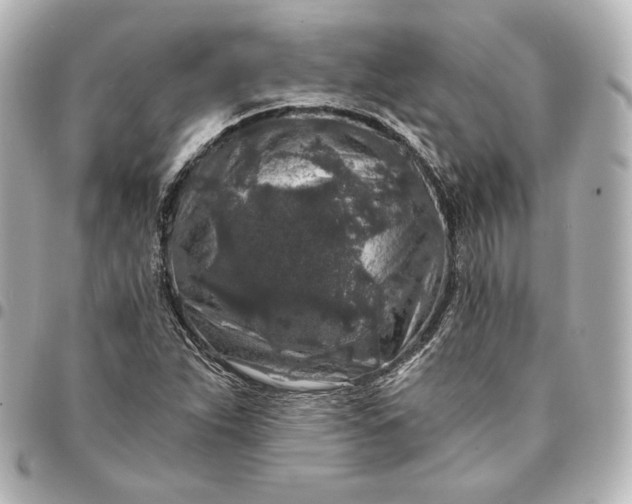 X0000095531263200712281514