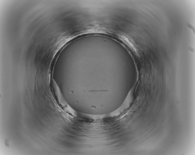 X0000095531268200712281514