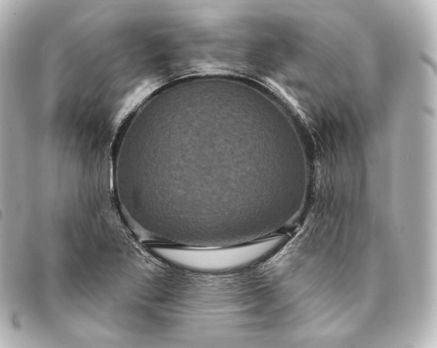 X0000095531269200712281514