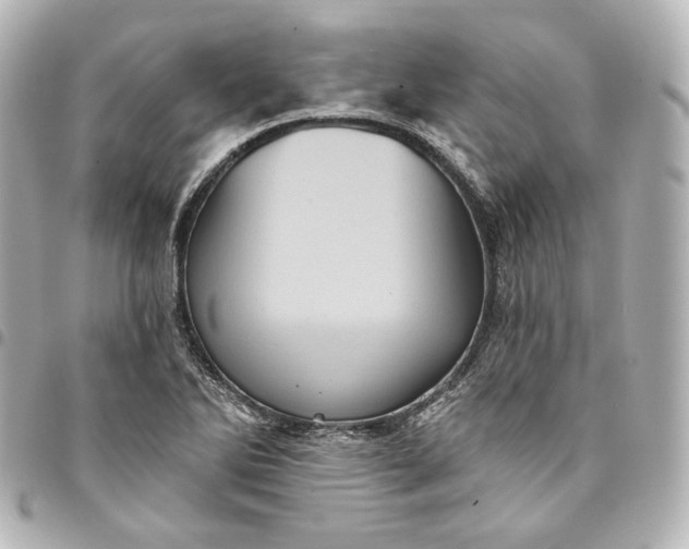X0000095531270200712281514