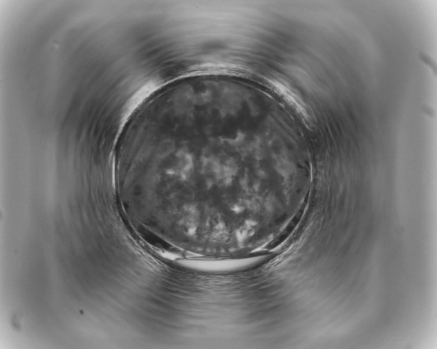 X0000095531275200712281514