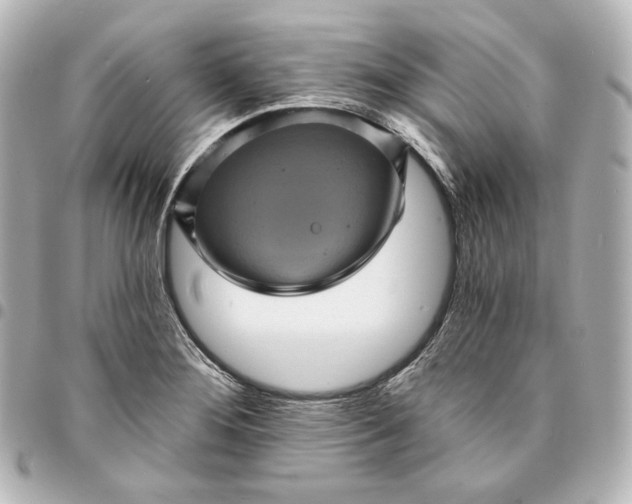 X0000095531276200712281514