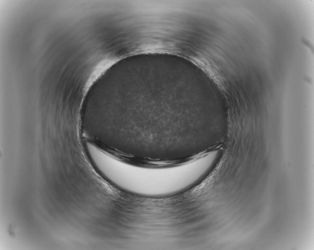 X0000095531277200712281514