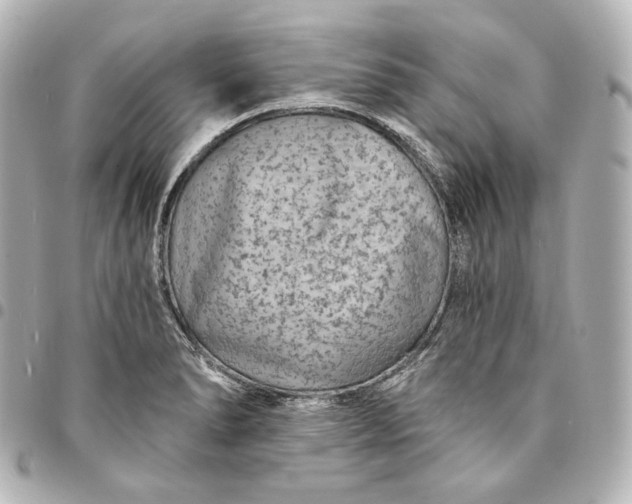 X0000095531278200712281514