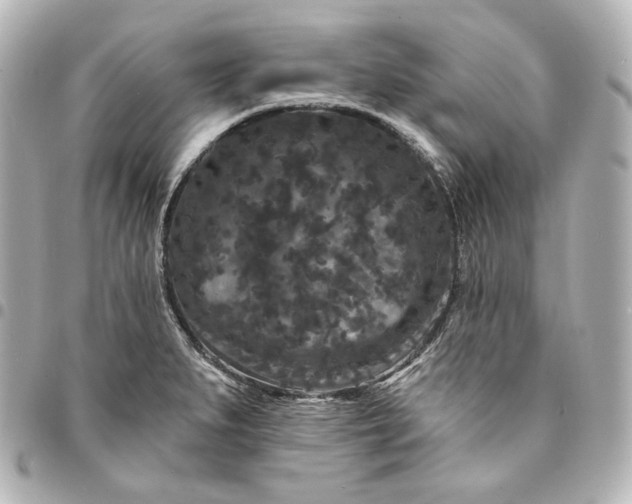 X0000095531279200712281514