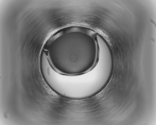X0000095531280200712281514