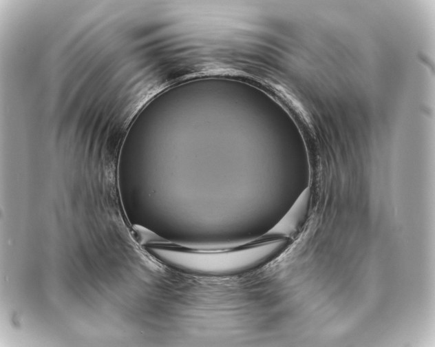 X0000095531281200712281514